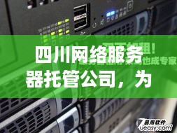 四川网络服务器托管公司，为中小企业提供稳定高效的IT服务解决方案