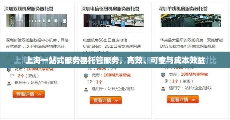 上海一站式服务器托管服务，高效、可靠与成本效益