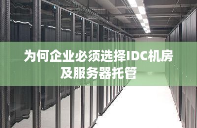 为何企业必须选择IDC机房及服务器托管