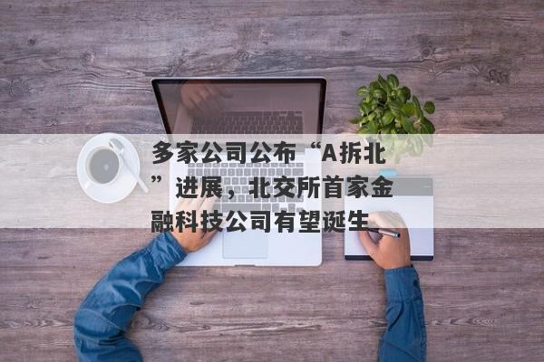 多家公司公布“A拆北”进展，北交所首家金融科技公司有望诞生